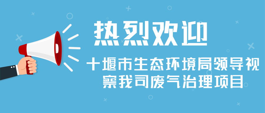 熱烈歡迎十堰市生態(tài)環(huán)境局領導視察我司廢氣治理項目